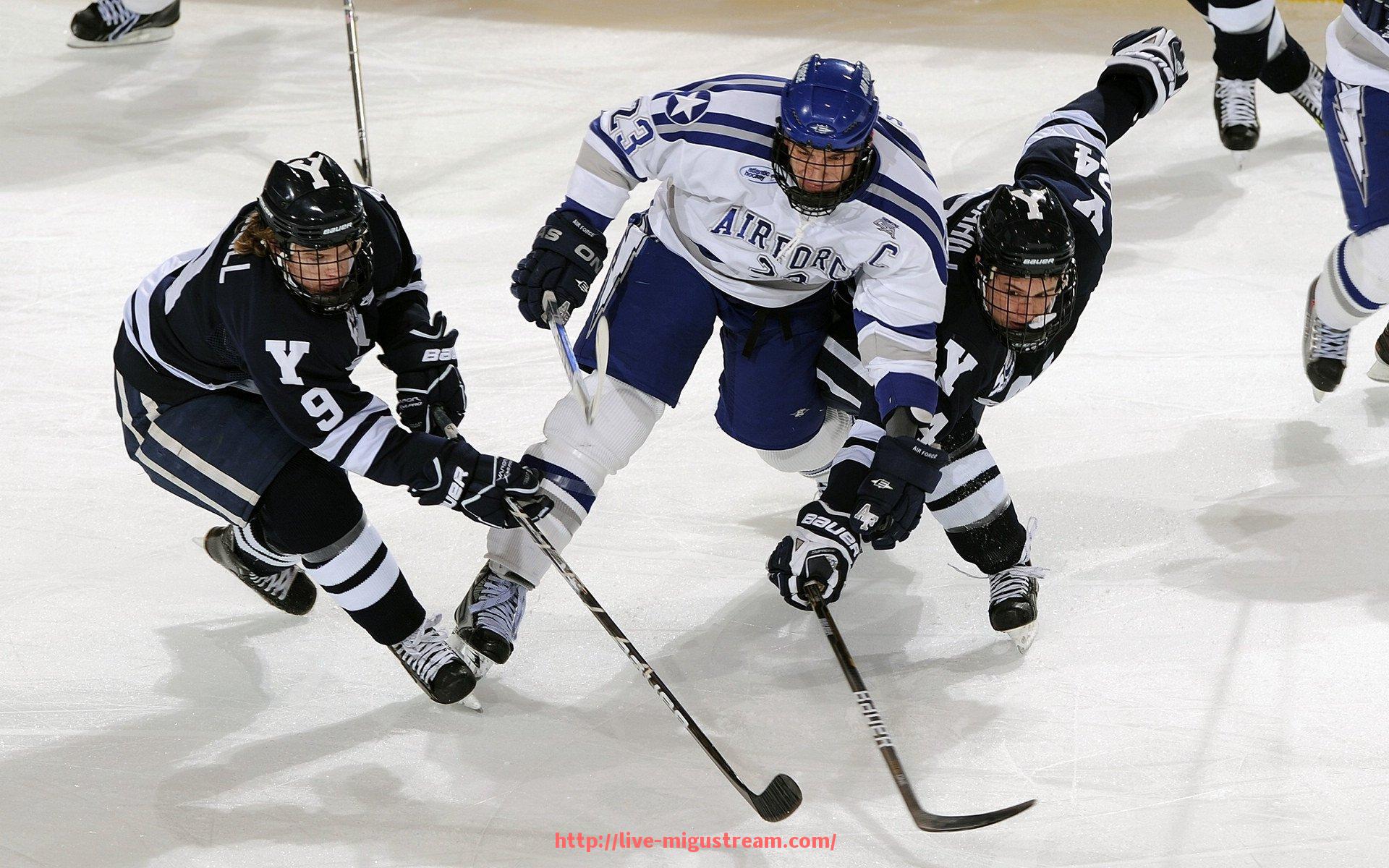 咪咕体育直播-世俱杯欢呼口号精选:不同国家球迷的激情表达